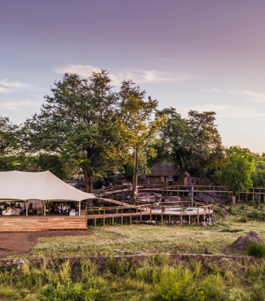 Deteema Wildlife Sightings Oct 2024 Deteema Springs Camp Deteema Wildlife Sightings Oct 2024 Deteema Springs Camp