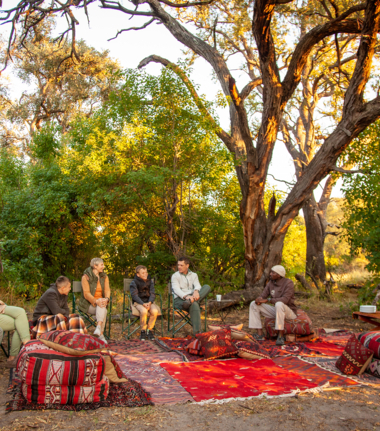 Machaba Safaris Botswana Machaba Camp Wildlife Report September 2023 Safari Experience Picnic