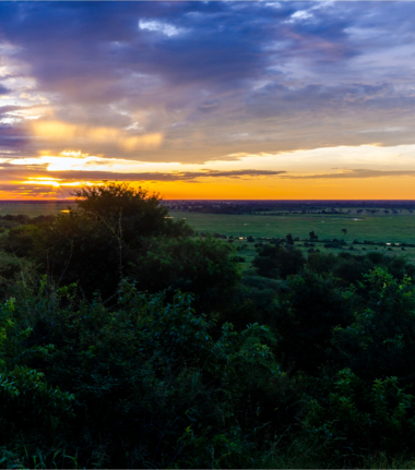 Machaba Ngoma Safari Lodge Wildlife Sightings September 2025 Sunset Over Chobe National Park Machaba Ngoma Safari Lodge Wildlife Sightings September 2025 Sunset Over Chobe National Park