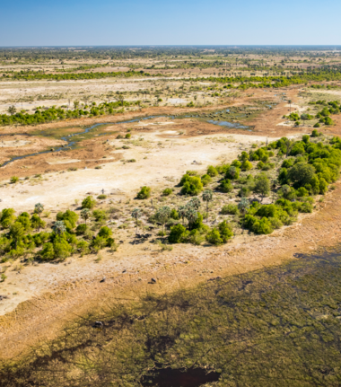 Machaba Monachira Camp Wildlife Sightings March 2026 Okavango Delta Dry Season