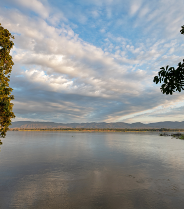 AMP 9866machaba Mana River Camp Wildlife Sightings June 2026 Mana Pools River Channel