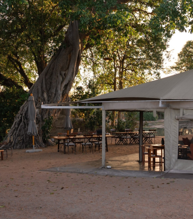 Ingwe Pan Camp Machaba Safaris