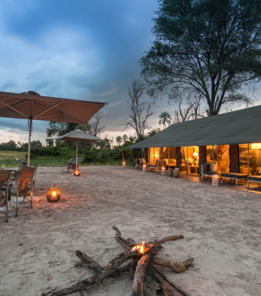 Machaba Botswana Okavango Delta Gomoti Plains Sightings February 2020 Cta Camp