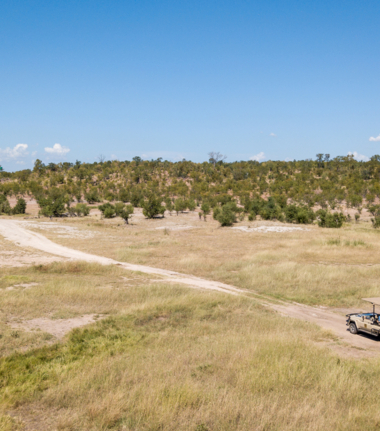 Machaba Safaris   Zimbabwe   Hwange National Park   Deteema Springs   Wildlife Sightings   June 2022   CTA  Hwange National Park Machaba Safaris   Zimbabwe   Hwange National Park   Deteema Springs   Wildlife Sightings   June 2022   CTA  Hwange National Park