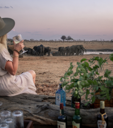 Machaba Safaris   Verneys Camp   Wildlife Sightings   May 2025   Experience Machaba Safaris   Verneys Camp   Wildlife Sightings   May 2025   Experience