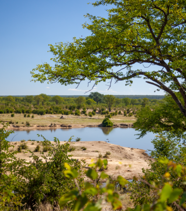 Machaba Deteema Springs Camp Wildlife Sightings June 2026 Watering Hole In Hwange