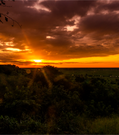 Machaba Ngoma Safari Lodge Wildlife Sightings July 2026 Sunset At Chobe