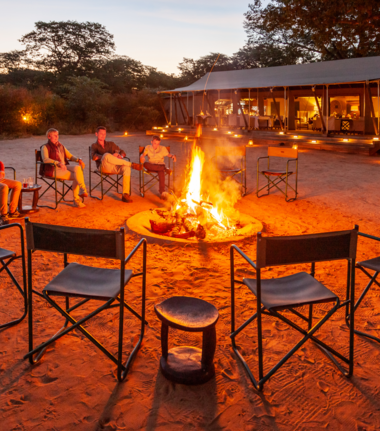 Machaba Verneys Camp Wildlife Sightings June 2026 Verneys Bonfire