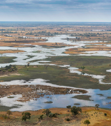 Okavango Delta Wildlife Sightings Kiri Camp Feb 2024 The Delta