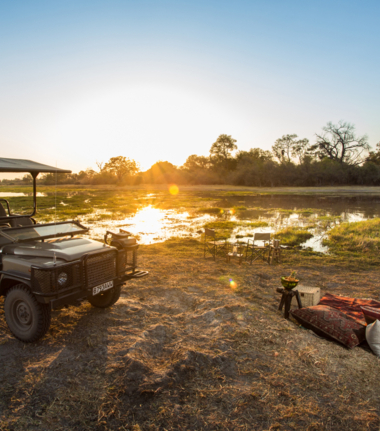 Machaba Safaris International Travel Award Nomination Safari Experience Cta   Copy