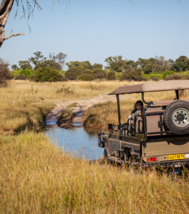 Game Drive Machaba Cta.jpg Game Drive Machaba Cta.jpg