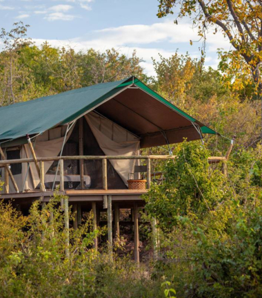 Machaba Botswana Hwange Deteema Cta Camp May Sightings 2020