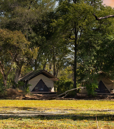 Machab Safaris Zimbabwe Ingwe Pan Camp Tents