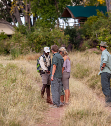 Machaba Deteema Springs Camp Wildlife Sightings July 2026 Walking Safari In Zimbabwe
