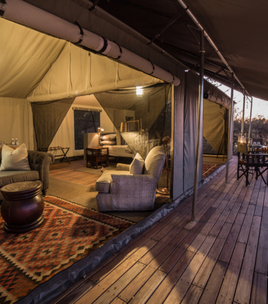 Machaba Safaris   Machaba Camp Wildlife Sightings   May 2025   Rooms Machaba Safaris   Machaba Camp Wildlife Sightings   May 2025   Rooms