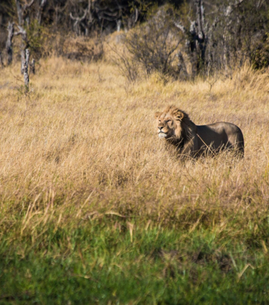 Verneys March Gallery Cta Verneys March Gallery Cta