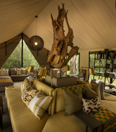 Machaba Safaris   Botswana  Okavango Delta   Gomoti Plains   Wildlife Sightings Report   April 2023   Gomoti Plains   Step Inside