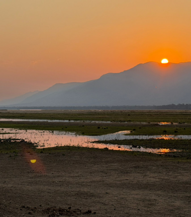 Machaba Mana River Camp Wildlife Sightings August 2026 Mana Pools Landscape