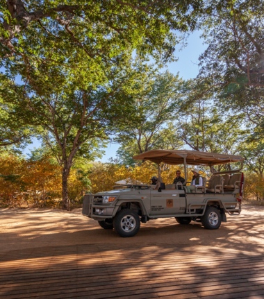 Game Drive Botswana