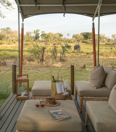 Willdife Sightings Gomoti Plains Botswana August 2024 Gomoti Plains