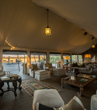Machaba Deteema Springs Camp Wildlife Sightings April 2026 Machaba Camp Common Area
