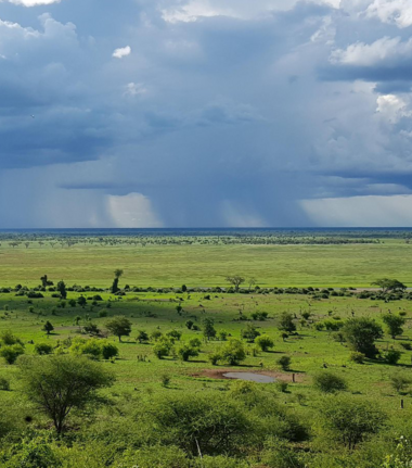 Machaba Ngoma Safari Lodge Wildlife Sightings April 2026 Chobe National Park