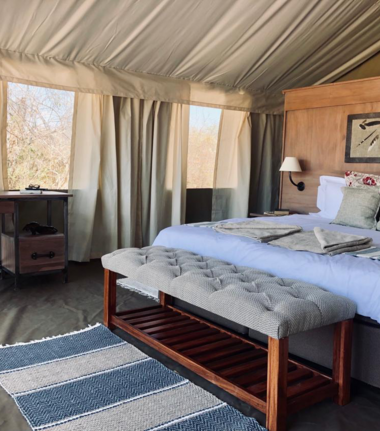 Machaba Ingwe Pan Camp Wildlife Sightings July 2025 Ingwe Pan Luxury Tent Machaba Ingwe Pan Camp Wildlife Sightings July 2025 Ingwe Pan Luxury Tent