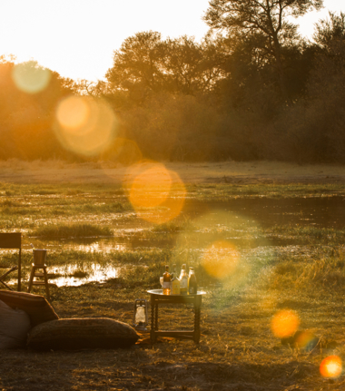 Botswana Machaba Camp Sightings September 2021 Sundowners Botswana Machaba Camp Sightings September 2021 Sundowners