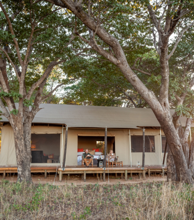 Machaba Hwange Verneys Camp Wildlife Stories November 2023 Verneys Tents Machaba Hwange Verneys Camp Wildlife Stories November 2023 Verneys Tents
