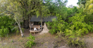 Machaba Safaris Web Kiri Camp Rooms Gallery Family Room Exterior View Machaba Safaris Web Kiri Camp Rooms Gallery Family Room Exterior View