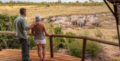Machaba Zimbabwe Deteema Room Close Up View Of Wildlife Infront Of Tent