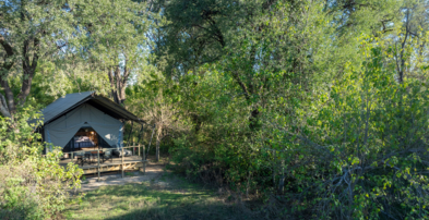 Machaba Safaris Machaba Camp Gallery Double Tent Exterior