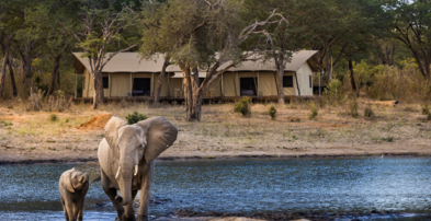 Machaba Zimbabwe Verneys Camp Rooms Wildlife Machaba Zimbabwe Verneys Camp Rooms Wildlife