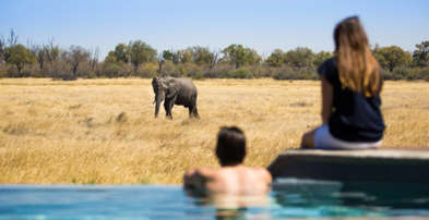 Machaba Botswana Okavango Delta Little Machaba Gallery Experiences Pool Elephant