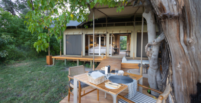 Machaba Web Monachira Camp Rooms Gallery Dining Machaba Web Monachira Camp Rooms Gallery Dining