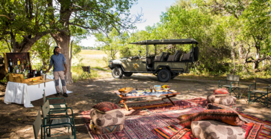 Machaba Botswana Okavango Delta Little Machaba Gallery Experiences Picnic