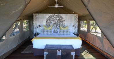 Machaba Zimbabwe Deteema Room Tent Double Bed
