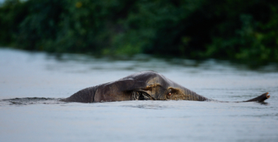 Experiences Carousel Image 14
