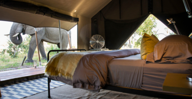 Machaba Safaris Web Botswana Gomoti Camp Double Room Wildlife