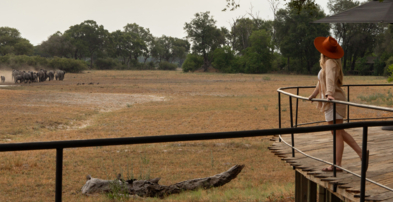 Machaba Safaris Web Kiri Camp Gallery Activities Viewing Game From Deck