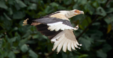 Experiences Carousel Image 4