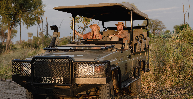 Machaba Web Botswana Gomoi Private Experience Game Drive