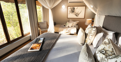 Machaba Safaris Web Ngoma Lodge Suites Triple Room Beds Machaba Safaris Web Ngoma Lodge Suites Triple Room Beds