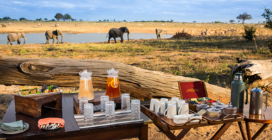 Machaba Zimbabwe Verneys Camp Hightea Machaba Zimbabwe Verneys Camp Hightea