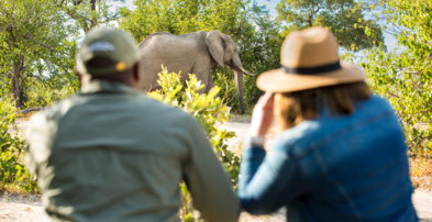 Machaba Safaris Web Botswana Machaba Camp Gallery Experiences Wildlife Machaba Safaris Web Botswana Machaba Camp Gallery Experiences Wildlife