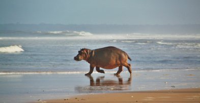 Experiences Carousel Image 15