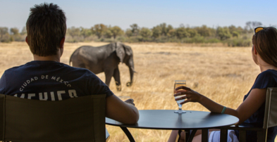 Machaba Botswana Okavango Delta Little Machaba Gallery Camp Elephant From Camp
