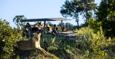 Machaba Web Monachira Camp Experience Safari