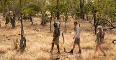 Machaba Zimbabwe Mana River Experiences Guided Walking Safari