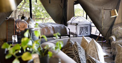 Machaba Web Botswana Little Machaba Family Room Tent Baby Cot Machaba Web Botswana Little Machaba Family Room Tent Baby Cot